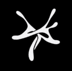 YSL Records